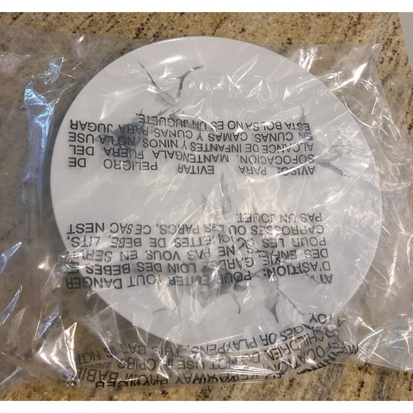 Rosenthal Continental JET ROSE 10.5" Dinner Plate Raymond Loewy Gray Rose - Picture 8 of 8